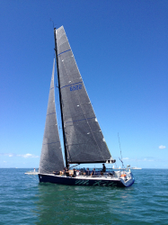 Sailboat out at sea